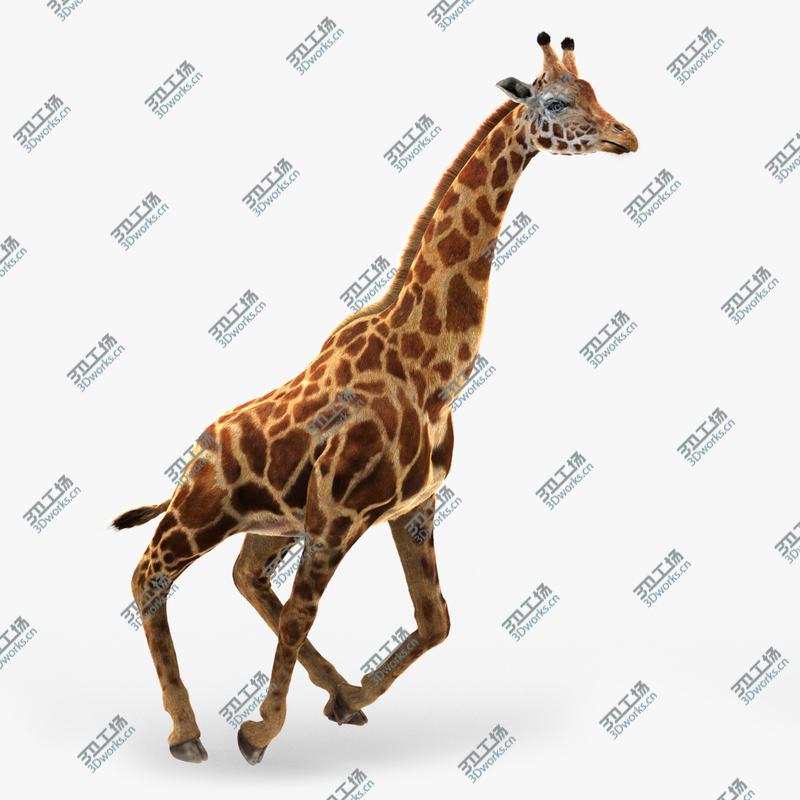 images/goods_img/202104022/Giraffe (2) (RIG) (FUR) 3D model/1.jpg